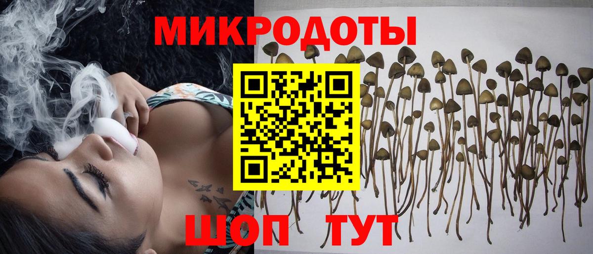 Псилоцибиновые грибы Psilocybe  где можно купить наркотик  Сорочинск  Псилоцибиновые грибы Psilocybine cubensis  Вход с VPN 